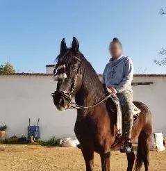 Jessica, 31